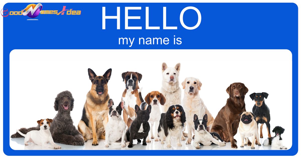 Dog Names_goodnamesidea