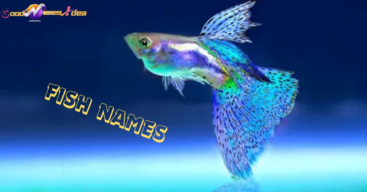 Fish Names_goodnamesidea