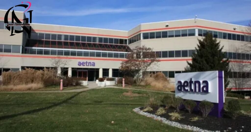 Aetna Health Insurance_goodnamesidea